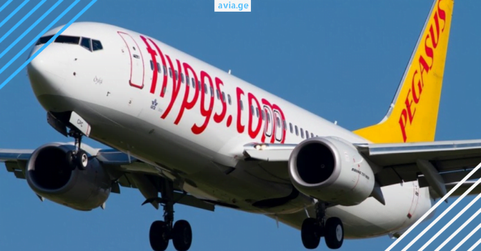 pegasusi პეგასუსი