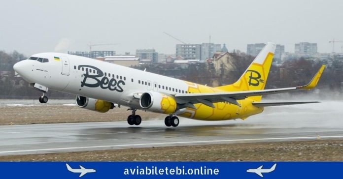 Bees Airlines ფრენები