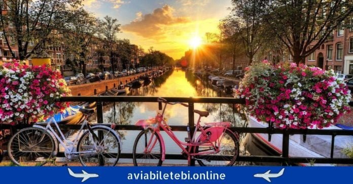 amsterdami tbilisi aviabiletebi ამსტერდამი თბილისი