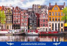 Tbilisi Amsterdam Flights – Cheap Air Tickets თბილისი ამსტერდამი