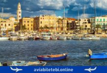 Tbilisi – Bari Flights: Cheap Air Tickets Online თბილისი ბარი