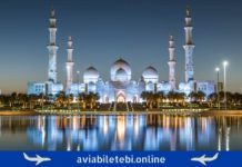 Tbilisi – Abu Dhabi Flights: Airlines, Flight Time and Cheap Tickets