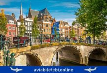 Kutaisi to Amsterdam Flights – Cheap Air Tickets kutaisi amsterdami