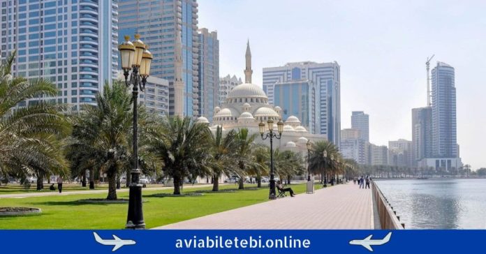 sharjah თბილისი შარჟა