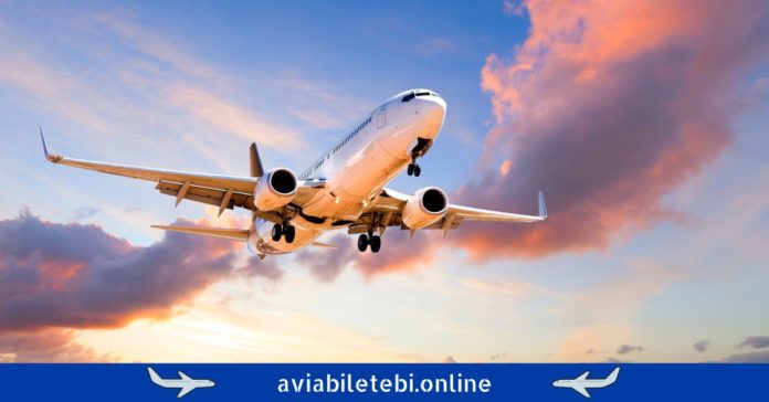 aviabiletebi.online მგზავრების ჩხუბი