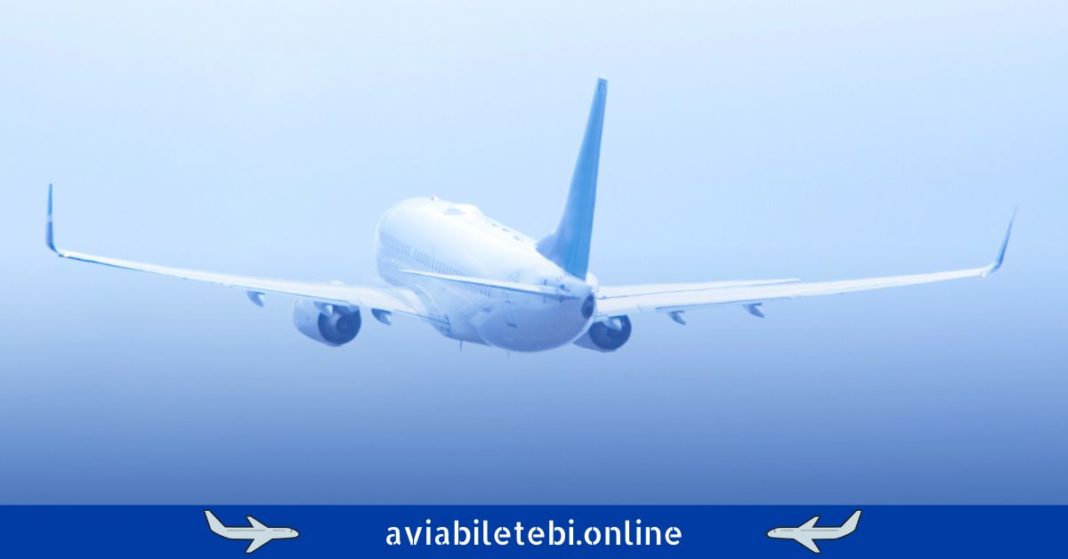 aviabiletebi.online (1) ავიარეისები