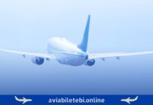 მსოფლიოში 10 ყველაზე შემოსავლიანი ავიარეისი ავიარეისები