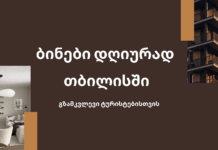 ბინები დღიურად თბილისში – გზამკვლევი ტურისტებისთვის