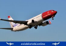 Norwegian-ი ოპერირებას კოპენჰაგენი-თბილისი დაიწყებს aviabiletebi.online Norwegian